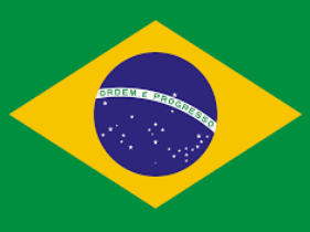 Português (Brasil)